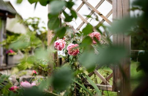 Barry House | The Anchorage & The Tackleshed