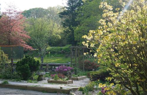 Dunkeswell House | The Annexe at Riverside Cottage