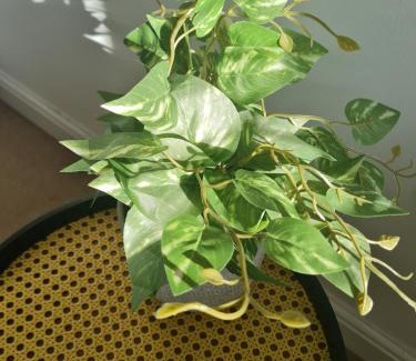 Barton-upon-Humber House | The Appleleaf with Free Parking