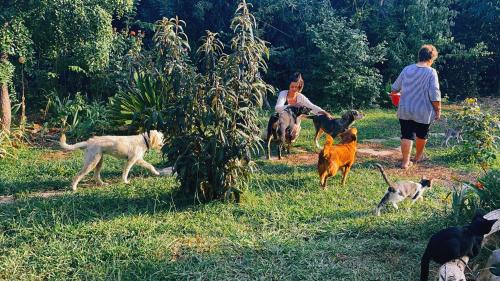 Aigialeia House | The Artist's Farm