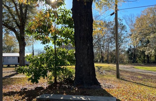 Selma RV Rental | The best RV Park in Selma Al ! Buckaroo Jones Rv Park!