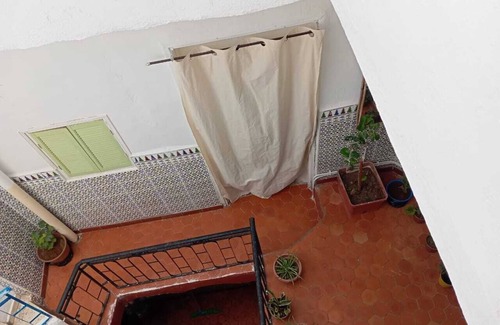 Tlemcen House | The bird house