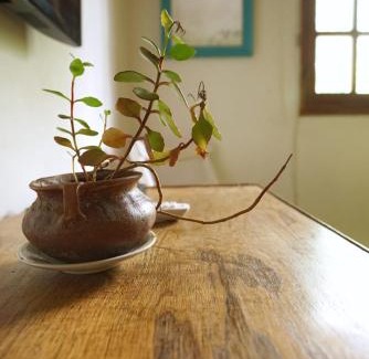 Mendoza City Center House | The Blue Room