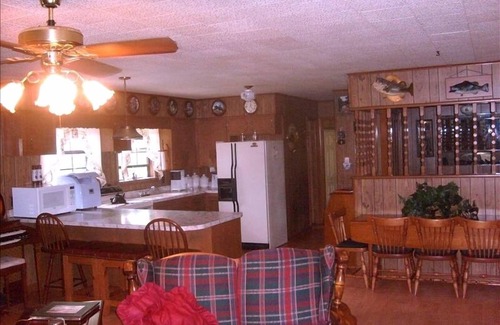 Scranton Cabin | The 'Byrd's Nest' Dublin Bay Lake Dardanelle