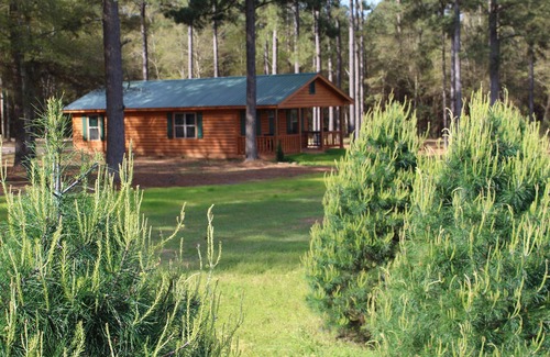 Fairhope Cabin | The Cabins At Fish River Christmas Trees - Cabin C