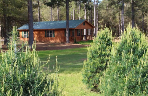 Fairhope Cabin | The Cabins At Fish River Christmas Trees - Cabin D