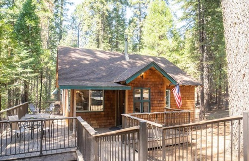 Arnold Ski Chalet | The Cedar Loft - Pet and Family Friendly - BBQ/Pool/Fire Pit