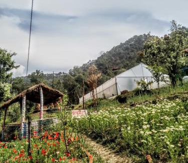 Almora House | The Chakras Valley Homestay