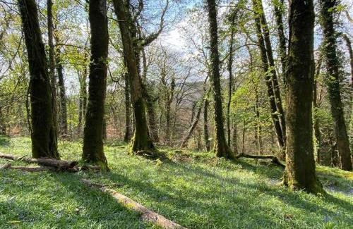 Barnstaple House | The Coach House, The Old Rectory