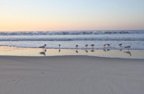 Pelican Bay House | The Coastal Cottage