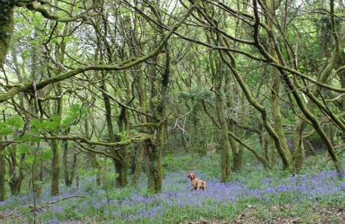 Neath House | The Cottage-Uk32854