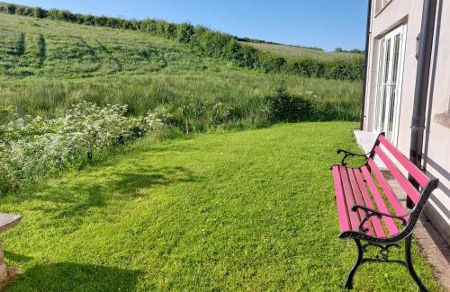 Dungannon Apartment | The Cove