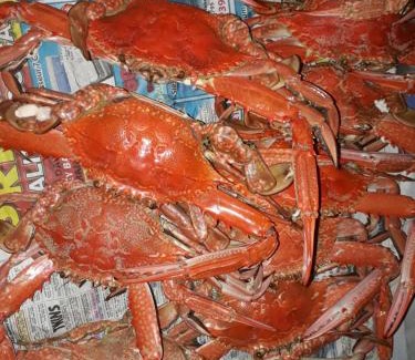 Australind House | The DOLPHIN PLACE