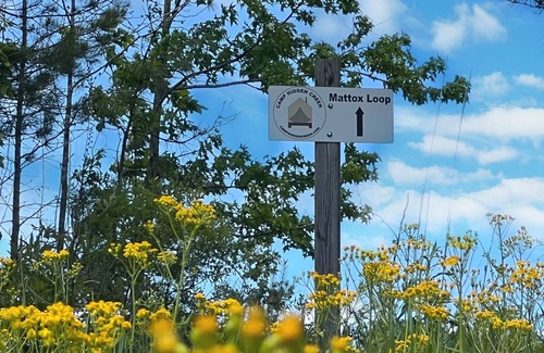 Ashland RV Rental | The "Double" has 2 sites & great for groups; Whiskey River II has a ramp