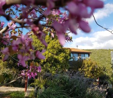 Shefer Cabin | The Edge Of The Village - Shefer