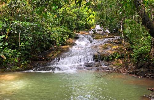 Platanillo Apartment | The Elements Costa Rica Nature Lodges