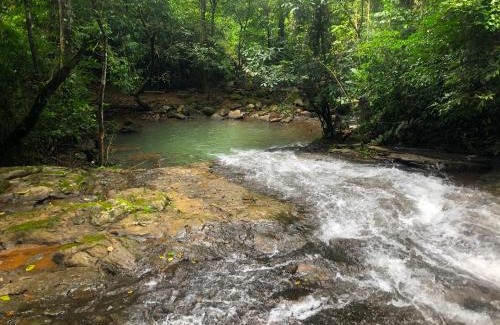 Platanillo Apartment | The Elements Costa Rica Nature Lodges