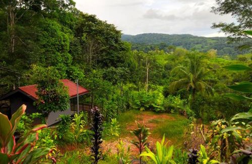 Platanillo Apartment | The Elements Costa Rica Nature Lodges