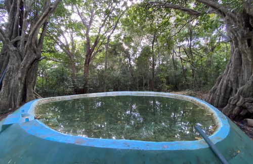 Moragaswewa Apartment | The Elephant Hide villa Sigiriya