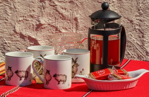 Treffynnon House | THE FLAT AT BRWYN, with a garden in Brynford