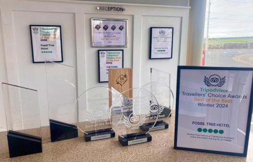 North Shore Hotel | The Fossil Tree Hotel