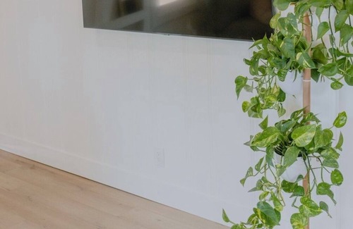 Redding House | -THE GREEN LEAF- Newly remodeled 2 bedroom house, Convenient to Downtown Redding