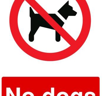 Bedale Hotel | The Greyhound, Hackforth Near Bedale