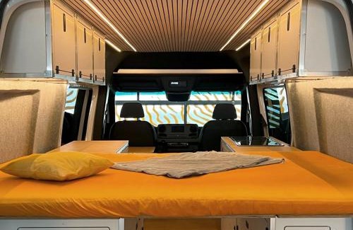 Leinster Other | The Happy Camper