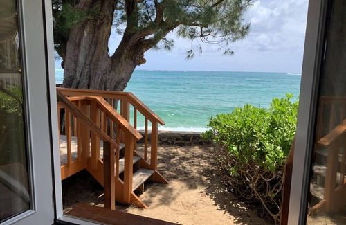 Hauula House | "The Happy Seal" Oceanfront House, watch seals sunbath from our deck while BBQ