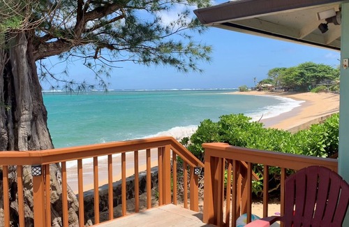 Hauula House | "The Happy Seal" Oceanfront House, watch seals sunbath from our deck while BBQ