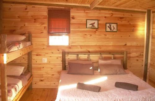 Uitenhage House | The Hexagon Wildlife Conservation