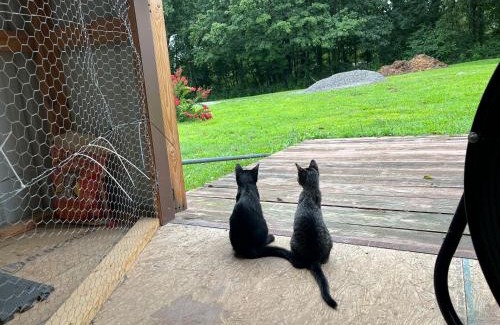 Normandy House | The Hidden Nugget