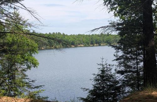 Oscoda House | The Hideout - Cute And Quiet Rustic Cabin!