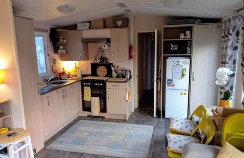 Hawick Cabin | The HIVE on the river bank