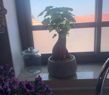 Yodfat Apartment | The house in Shiloah