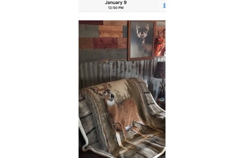 Dunlap Cabin | The Hunting Cabin is on 10.5 secluded wooded acres