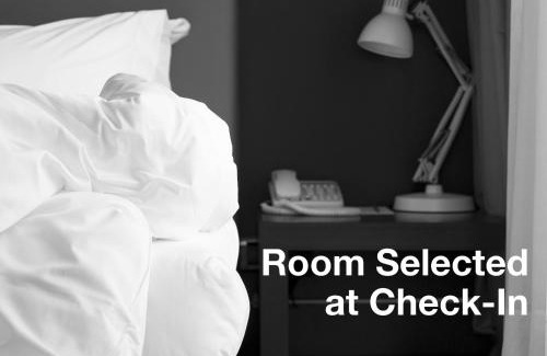 Downtown St. Petersburg Hotel | The Inn On Third