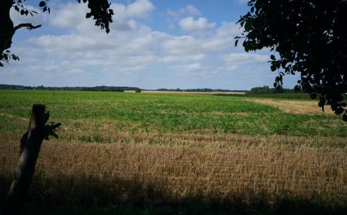 Westmarsh Other | The Karal cabin