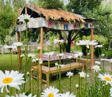 Nubra Valley Hotel | The Kesar Guest House Sumoor