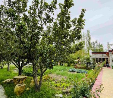 Nubra Valley Hotel | The Kesar Guest House Sumoor