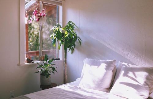 Anderson Valley Cabin | The Land - Luxury Retreat Center In Beautiful Nature - Bay Area Northern California