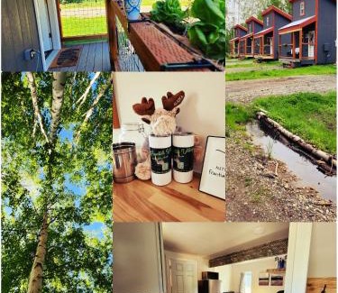 Badger House | The Lazy Lynx - Frontier Village