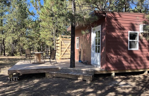 Edgemont Cabin | The little cabin in the woods! Nearby great trails and hunting!