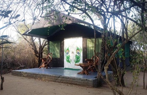 Palatupana Other | The Little Gecko camping lodge