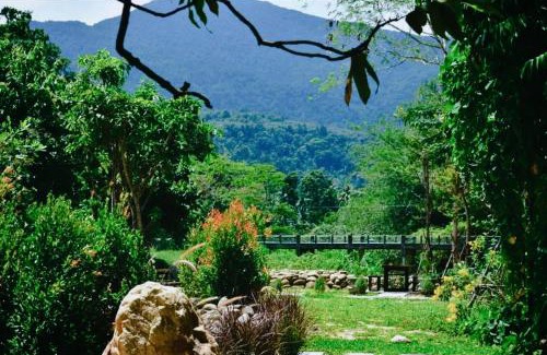 Lan Saka Bed & Breakfast | The Lodge At The Creek Haus