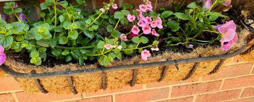 Wimborne House | The Log Cabin