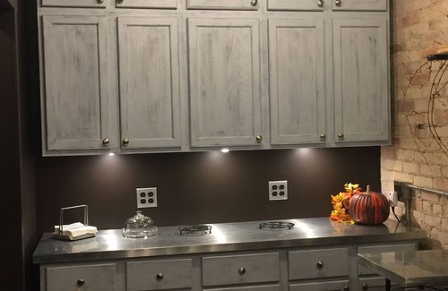 Lake Odessa Apartment | The Main Floor