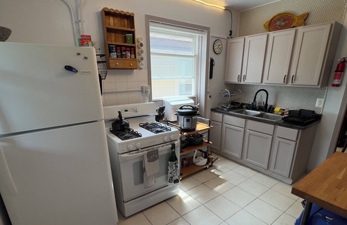 Albany Park Apartment | The Millennium Club, Eclectic Albany Park Apartment, 2 bdrm 1 bath