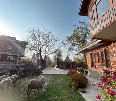 Srinagar House | The Mool Farm and Living
