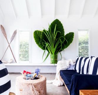 Moso Island Resort | The Moso